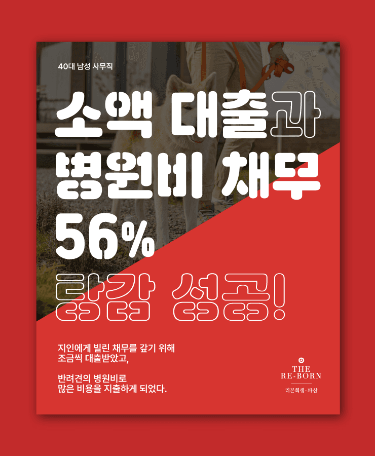 지인에게 빌린 채무
반려견의 사고